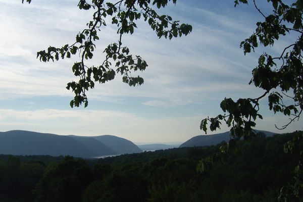 photo-01