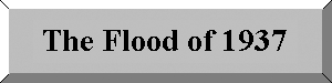 Flood Button