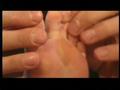my webbed feet
