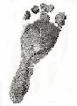 foot print of baby's foot